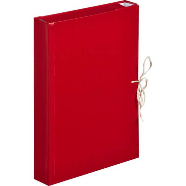 Папка архивная на завязках 50мм Attache бумвинил 4 завязки