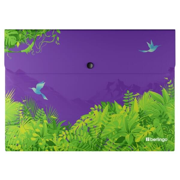 Папка конверт с кнопкой А4 Berlingo 330мкм "Flower Art", с рисунком