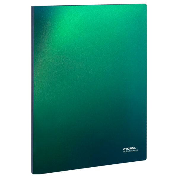 Папка 2 кольца пластик 25мм СТАММ "Хамелеон" А4 700мкм, зеленый хамелеон