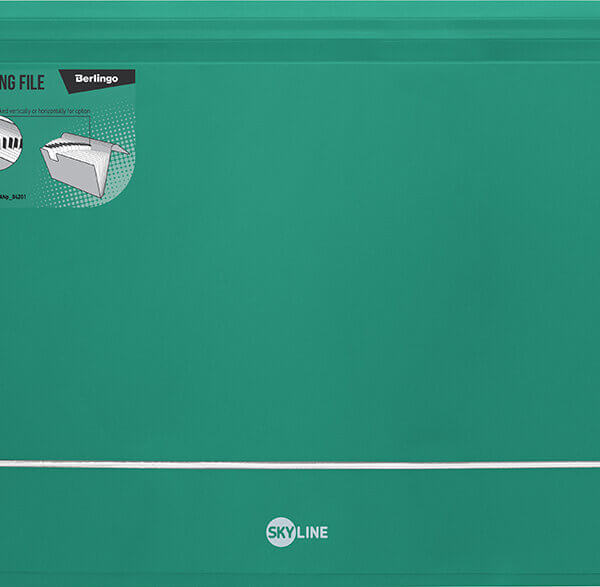 Папка на резинке А4 13 отделений Berlingo "Skyline" зеленая, 700мкм